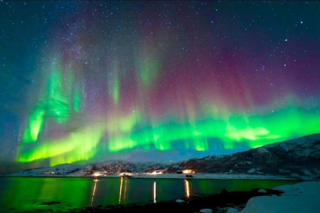 In The Heart Of The Aurora Borealis - Tromso City Exterior foto